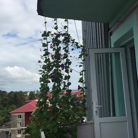 Apartment Rustaveli 136a *
