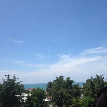 Rustaveli 136a Kobuleti
